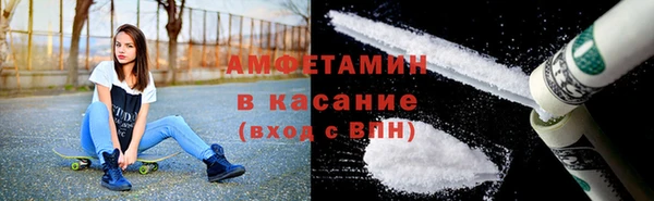 индика Алексин