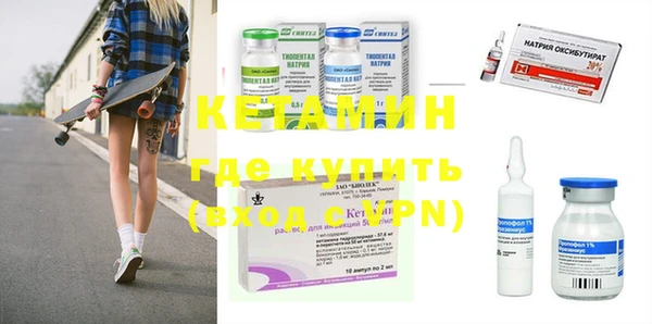 индика Алексин