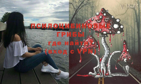 соль курить ск Алзамай