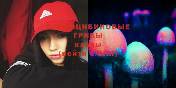 соль курить ск Алзамай