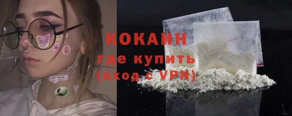 индика Алексин