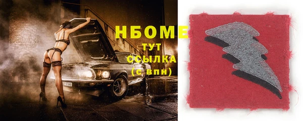 индика Алексин