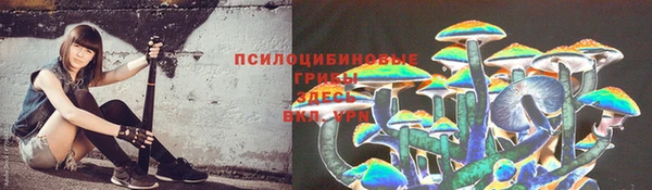 индика Алексин
