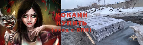 индика Алексин