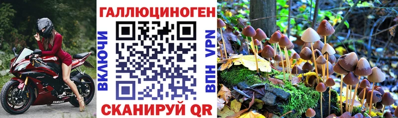цены наркотик Балашов Псилоцибиновые грибы Psilocybe