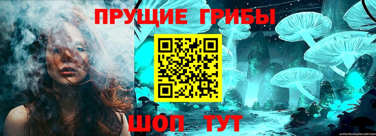 Галлюциногенные грибы GOLDEN TEACHER Балашов
