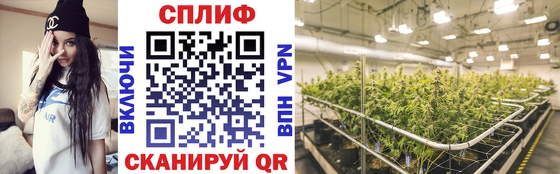Канабис Bruce Banner магазин Балашов